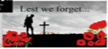 Lone Soldier Flag