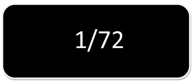 1:72 Scale
