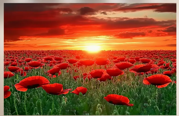 ANZAC - Flags & Banners