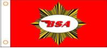 BSA Star Flag