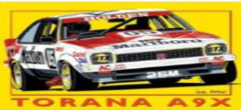 Holden Torana Flag