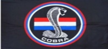 Shelby Cobra Black Flag